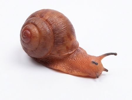 Šnek gumový 13 cm