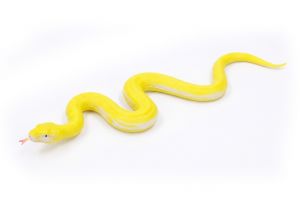 Had gumový měkký 60 cm