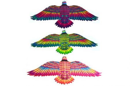 Létající drak orel 132x60 cm/3 druhy