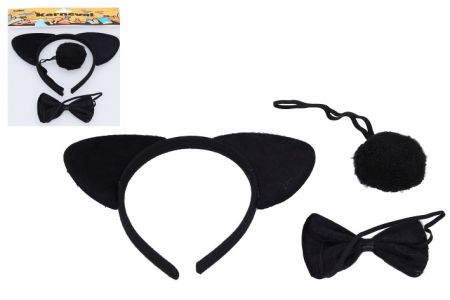 Set karneval - medvěd