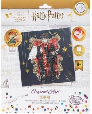 Crystal Art pohlednice - Harry Potter a Hedvika, 18x18cm
