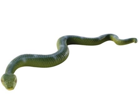 Hroznýš královský