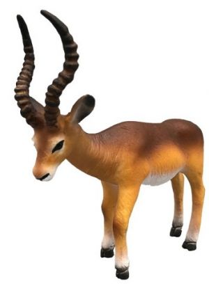 Antilopa impala