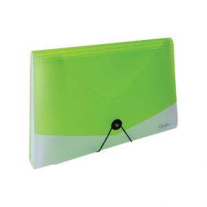 Organizér na dokumenty s gumou A4 Opaline čirá-zelená 13kapes