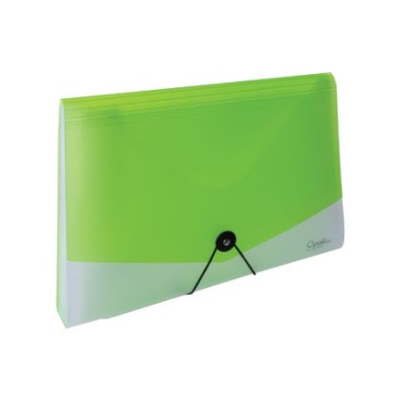 Organizér na dokumenty s gumou A4 Opaline čirá-zelená 13kapes