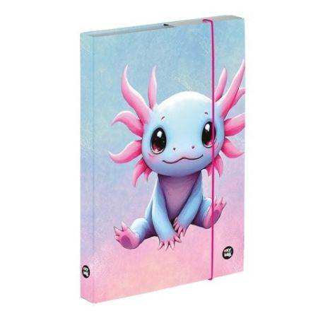 Box na sešity A4 Axolotl
