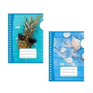 Školní sešit 540, A5, čistý, 40 listů