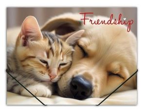 Desky s gumičkou "Friendship", A4, 15 mm, PP,  PANTA PLAST