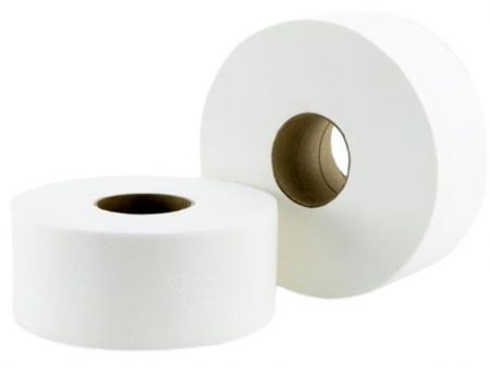 Toaletní papír, sněhově bílá, 2-vrstvý, 100 m, průměr 19 cm, 12 rolí, 96329