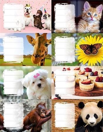 Školní etikety "Dívky", 24 ks, PANTA PLAST