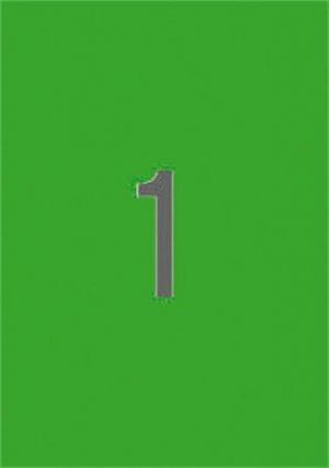 Etiketa, 210 x 297mm, zelená, 20 ks/bal., APLI