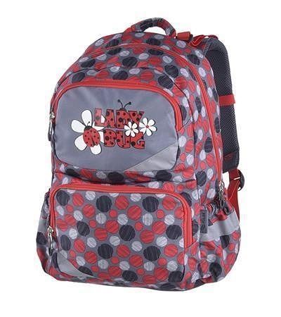 Batoh "Lady Bug", šedá, 22 litrů, anatomický, PULSE