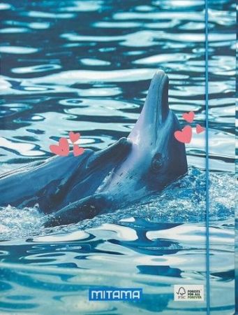 Desky s gumičkou "Fantasy colors", delfín, MITAMA 61906-90033