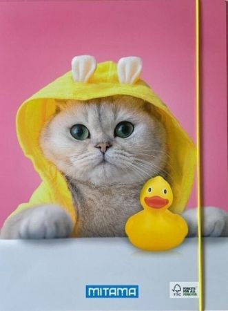 Desky s gumičkou "Fantasy colors", kočka, MITAMA 61906-90027