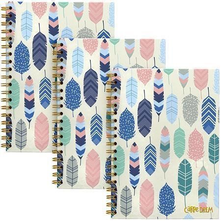 Spirálový sešit "Carpe Diem", motiv s peřím, B5, linkovaný, 80 listů, FSC, PUKKA BAD 9379-