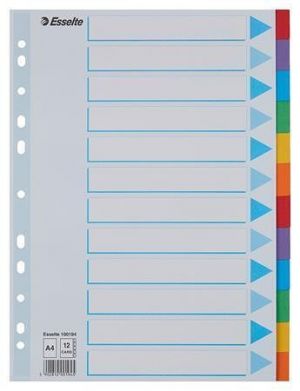 Rejstříky "Standard", popisovatelná titulní str., mix barev, karton, A4, 12 dílů, ESSELTE