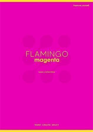 Sešit "Neon", mix motivů, A4, čtverečkovaný, 60 listů, SHKOLYARYK A4-060-5400K