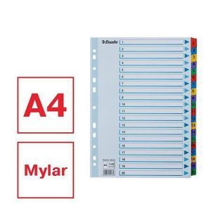 Zesílené rejstříky "Mylar", mix barev, karton, A4, 1-20, ESSELTE