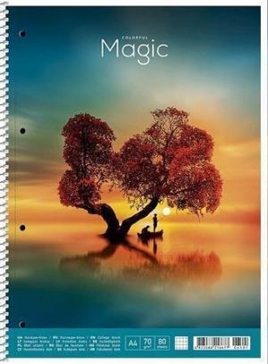 Spirálový sešit "Colourful Magic", mix motivů, A4+, čtverečkovaný, 80 listů, SHKOLYARYK A4