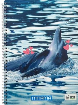 Spirálový sešit "Fantasy colours", A4+, linkovaný, 60 listů, city, MITAMA 62620-90072