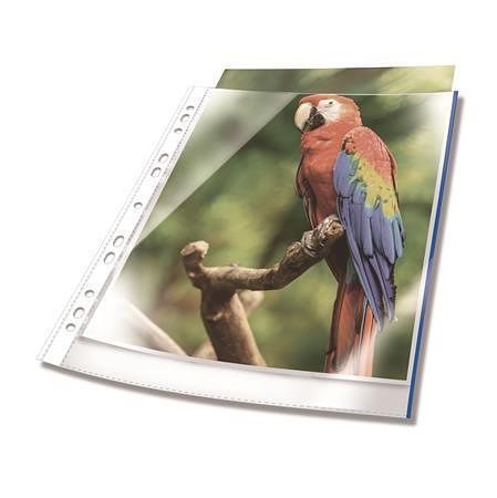 Euroobal "PREMIUM", transparentní, s modrým okrajem, A4, PP, 80 mikronů, 10 ks, DURABLE 26