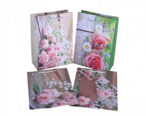 Papírová taška 24cm/17cm/8cm 