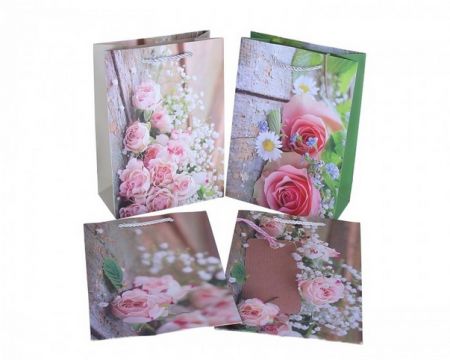 Papírová taška 24cm/17cm/8cm 