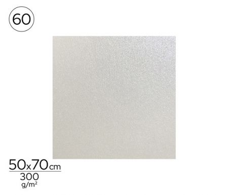 Papír barevný stříbrný /50x70 cm