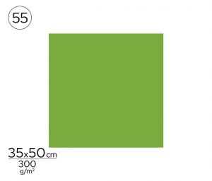 Papír barevný 35 x 50cm zelený