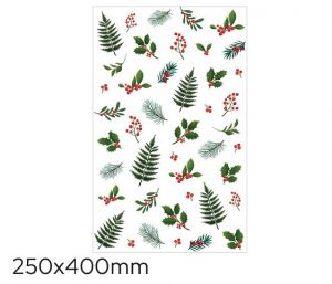 Sáček celofán barevný 25 x 40cm chvojí LUMA