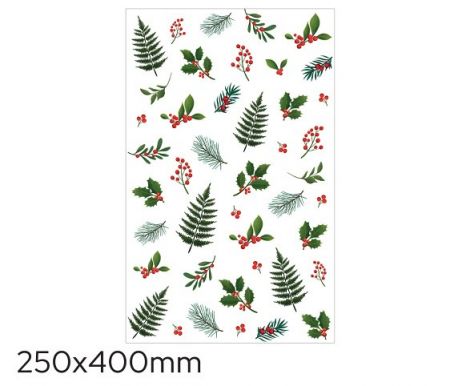 Sáček celofán barevný 25 x 40cm chvojí LUMA