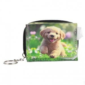 Peněženka klíčenka 1ZAM MIX 703 FOL