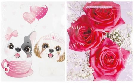 Dárková taška lakovaná 19x23x10,5cm mix