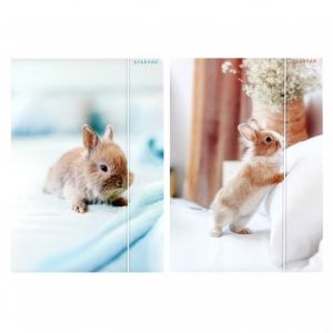 Papírová složka s gumičkou A4 Starpak králík 559719