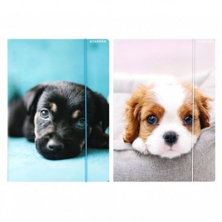 Papírová složka s gumičkou A4 pes dog Starpak 559727<br /><br />.