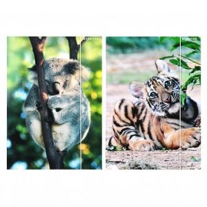 Papírová složka s gumičkou A4 Starpak divoká zvířata 559730<br /><br />