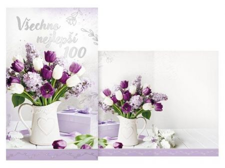 Přání k narozeninám 100 M11-610 H