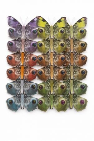 Motýlci na klipu 8 cm – dekorační motýli na věnec, květiny a jarní dekorace, mix M-37