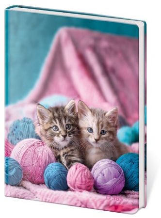 Památník A5 13 x 18 cm čistý Babes