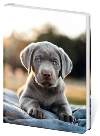 Památník A5 13 x 18 cm čistý Pup