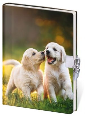 Památník 13 x 18 cm se zámkem - Fun