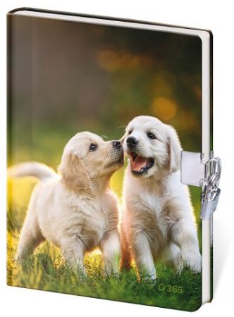 Památník 13 x 18 cm se zámkem - Fun