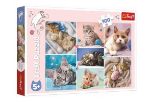 Puzzle Koťátka 41x27,5cm 100 dílků v krabici 29x19x4cm