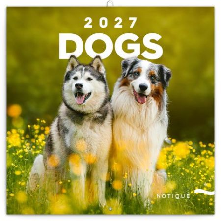 Kalendář nástěnný poznámkový Psi 2027, 30 x 30 cm / PGP-36318-V
