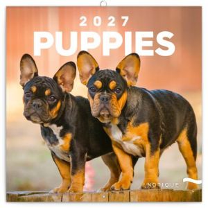 Kalendář nástěnný poznámkový Štěňata 2027, 30 x 30 cm / PGP-36320-V