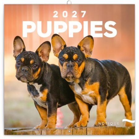 Kalendář nástěnný poznámkový Štěňata 2027, 30 x 30 cm / PGP-36320-V