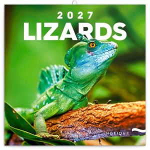 Kalendář nástěnný Ještěři 2027, 30 x 30 cm / PGP-36826-V