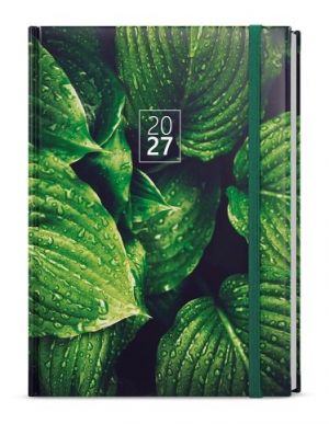 Diář denní - David - Lamino - A5 - Listy 2027, 14,3cm x 20,5cm, BDD9-6-27