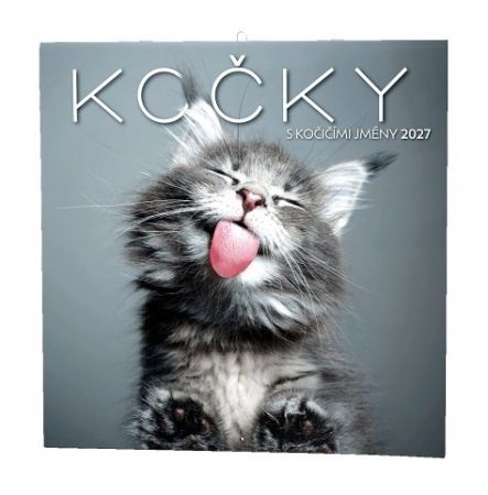 Kalendář nástěnný - Kočky                                      2027, 30cm x 30cm, BNL1-27