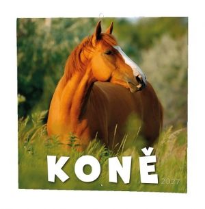 Kalendář nástěnný - Koně                                       2027, 28,5cm x 28,5cm, BNL3